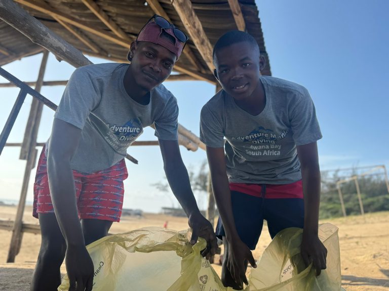 Read more about the article PADI ECO CENTER