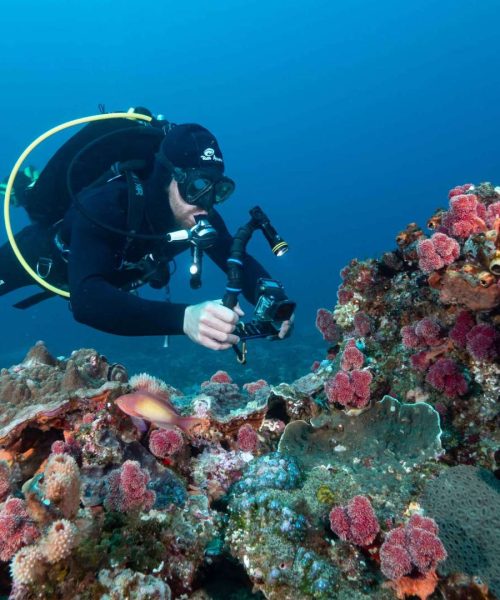 Scuba Diving Sodwana Bay